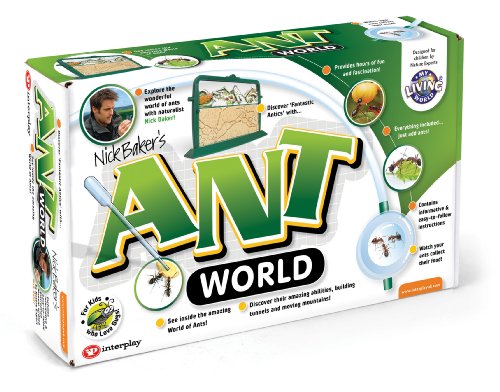 Ant World