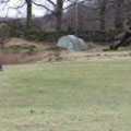 Loughrigg, Ambleside Tarn Foot Campsite