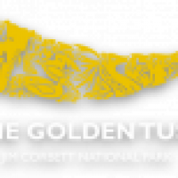 The Golden Tusk - www.thegoldentusk.com