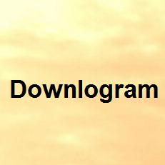 Downlogram - www.downlogram.com