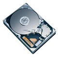 Seagate ST3640323AS