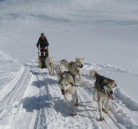 Norway, Husky Safari & Snowmobile Safari