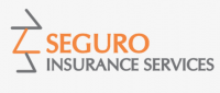 Seguro insurance - seguroinsurance.net