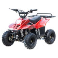 ATV001 110cc ATV