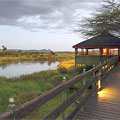 Masai Mara, Keekorok Lodge