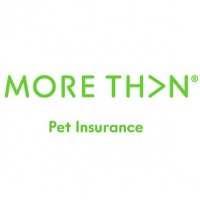 More Than Pet Insurance www.morethan.com