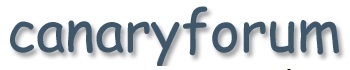 Canary Forum - www.canaryforum.com