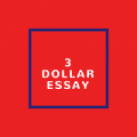 3 Dollar Essay - www.3dollaressay.com