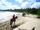 Atlantic Shores Riding Stables