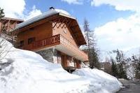 La Foret Chalet in Plagne 1800