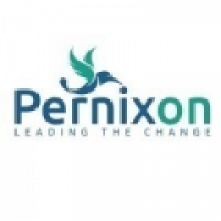 Pernixon Solutions - www.pernixon.com