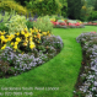 Landscape Gardeners South West London - www.landscape-gardeners-south-west-london.co.uk