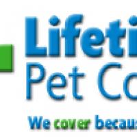 Lifetime Pet Cover - www.lifetimepetcover.co.uk