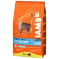 Iams Cat Complete Dry Food