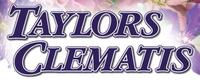 Taylors Clematis Nursery - www.taylorsclematis.co.uk