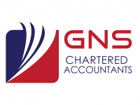 GNS Associates - www.gnsassociates.co.uk