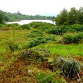 Bigland Trout Fishery, Cumbria