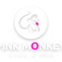 Pink Monkey Stag and Hen Ltd - www.pinkmonkeystagandhen.co.uk