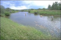 Sharpley springs Trout Fishery