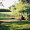 Trench Farm Pools, Wales