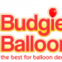 Budgies Balloons - www.budgiesballoons.com