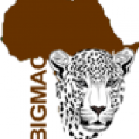 Bigmac Africa Safaris - www.bigmacafricasafaris.com