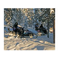 First Choice, Lapland Day Trips