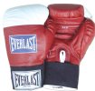 Everlast USA Boxing Amateur Boxing Gloves