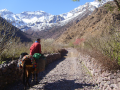 trekking in morocco - moroccotrekking.net