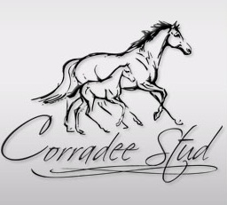 Corradee Stud - www.corradeestud.com