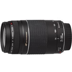 Canon EF 75-300mm f/4.0-5.6 III Lens