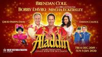 Aladdin, New Victoria Theatre, Woking