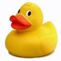 Bath Duck