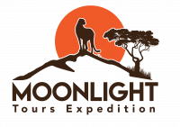 Moonlight Tours Expedition - moonlighttoursexpedition.com