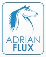 Adrian Flux Gadget Insurance