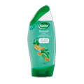 Radox Refresh Shower Gel & Shampoo