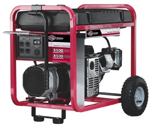 Briggs & Stratton Power Products Model 1654 5500 Watt Portable Generator