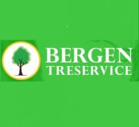 Bergen Treservice - www.bergentreservice.no