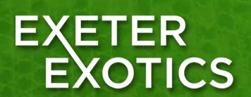 Exeter Exotics - www.exeterexotics.co.uk