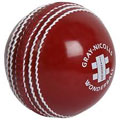 Gray Nicolls Wonderball Cricket Ball