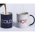 Hot/Cold Mug