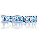 Icybid - www.icybid.com